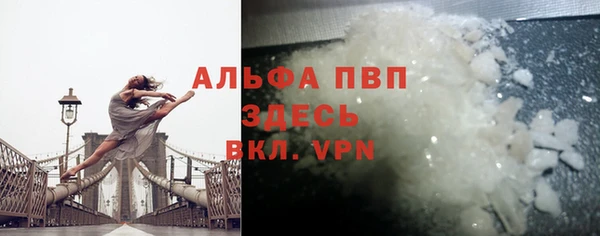 шишки Абаза