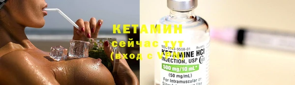 шишки Абаза
