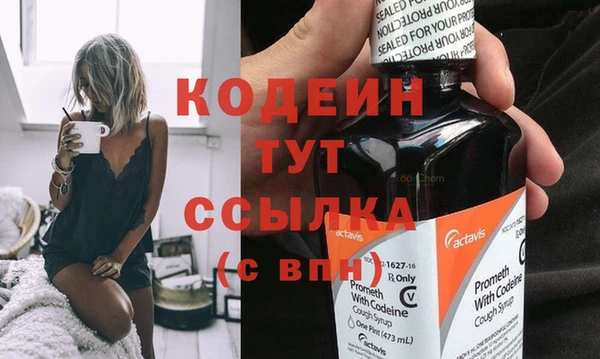 шишки Абаза