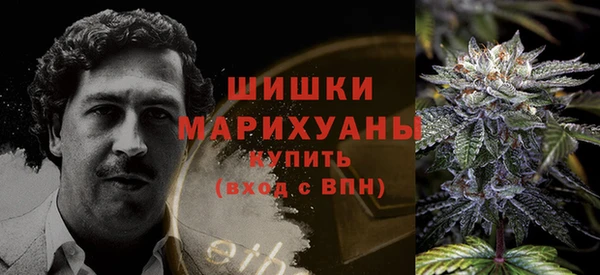 шишки Абаза