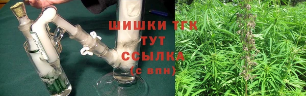 шишки Абаза