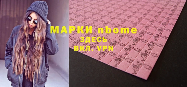 шишки Абаза