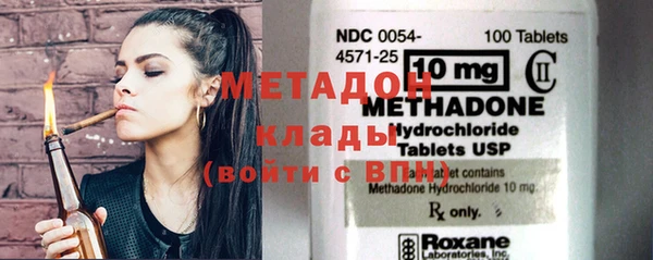 шишки Абаза